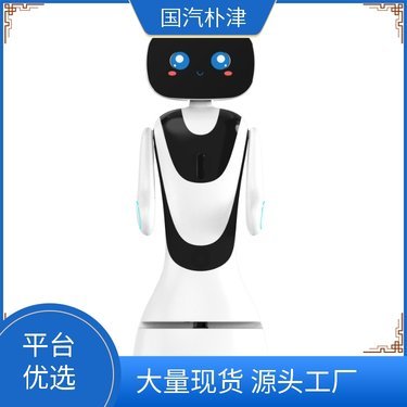 国自机器人上市信息