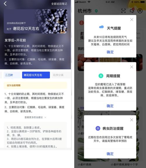 神器 发生病虫不认识,用这就对了