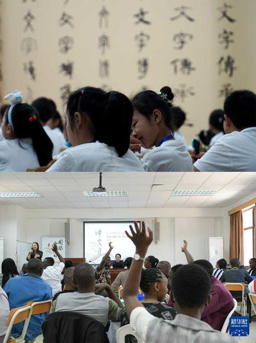 联合国中文日 中文魅力 沟通世界