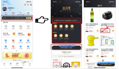 产品分析报告 盒马鲜生的前世今生