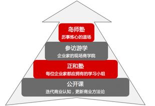 做企业家的良师益友 正和岛学习服务体系全面升级
